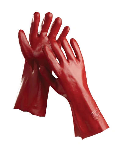 REDSTART 700x1000.jpg REDSTART 700x1000.jpg