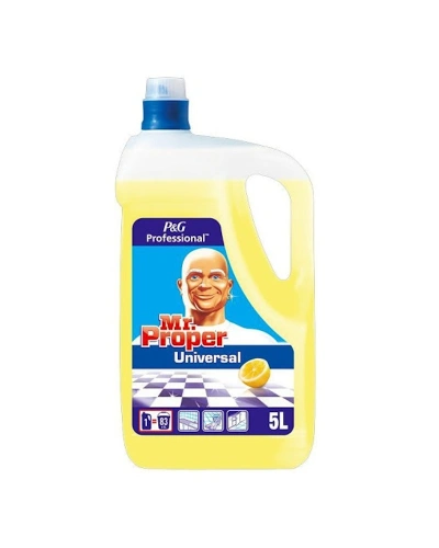 Mr.PROPER 700x1000.jpg