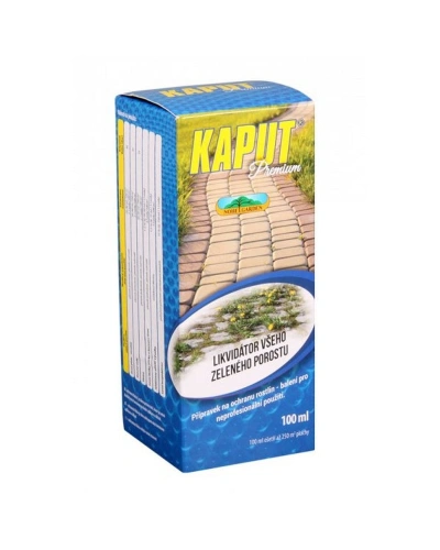 046430 Kaput 700x1000.jpg