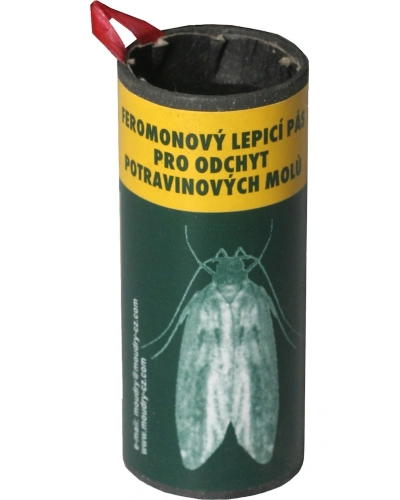 046831 mololapka 700x1000.jpg