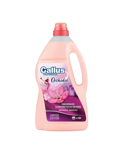 034157 aviváž Gallus.jpg