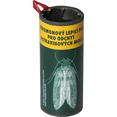 046831 mololapka 500x500.jpg 046831 mololapka 500x500.jpg